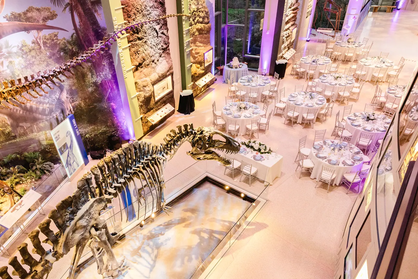 San Antonio Wedding Planner | Luxury Wedding Experts